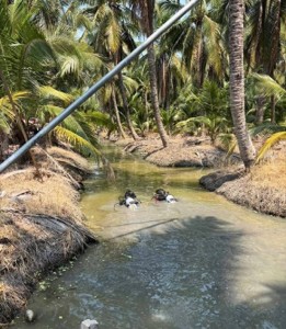 34岁女子在泰国被抛尸水沟 泳池派对后失联遇害