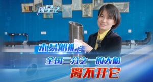 从乡镇厂到全球龙头中国制造超硬气