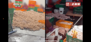 315曝光漂白鸡爪等7大乱象，涉哪些公司及品牌？最全盘点来了 双氧水浸泡秘密揭晓