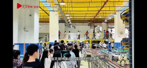 擦边二十年的椰树，这次翻车不冤