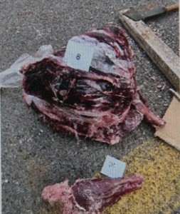 刘某某非法猎捕野生动物被判刑