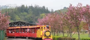 清明假期叠加春假激发经济新活力 亲子游成核心力量