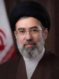 蜜蜂后腿的黄黄小球是什么 花粉团的秘密