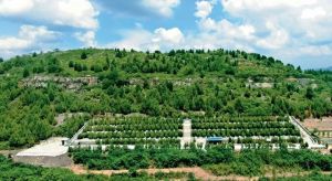 湖南临湘殡改迎来新转机 从“死不起”到“简办不减孝”