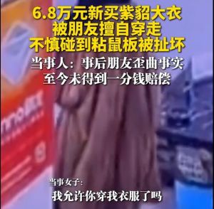 损伤闺蜜6.8万紫貂大衣女子发声 闺蜜撕坏大衣拒赔还抹黑