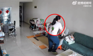 女子沙发上刷手机突遭鹦鹉飞落受惊大叫