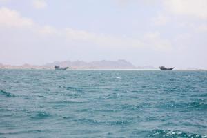 沙特劝美国“别添乱”，怕伊朗报复性封锁红海 呼吁重启谈判