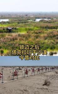 男子在塔克拉玛干沙漠种上了绿植 锁边奇迹背后的科技与坚守