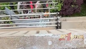 酸奶弄脏邻居衣物父母带娃逐户致歉，主动清理