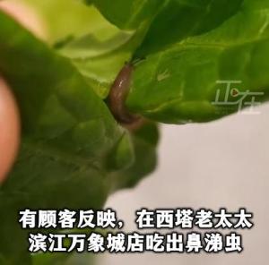 顾客曝西塔老太太菜叶现鼻涕虫 食品安全危机频发