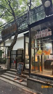 南昌首家“流浪猫再就业小院”开业，12只流浪猫化身“天选打工猫”