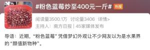 未来可能吃到粉色黄色红色蓝莓 颜色多样新品种研发中