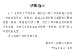 江苏67只猫已妥善安置 当事人受查 宠物医院提供庇护