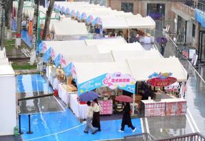 北影节市集一抹清新的绿 电影与文创交融的盛宴