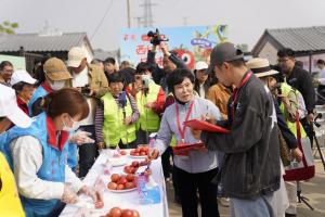 东高村镇西红柿尝鲜季启幕 春日双鲜果乐