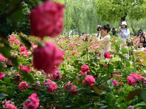 浙江晴热还剩两天 暴雨降温将至 初夏体验短暂结束