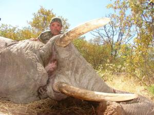 美国富豪打猎被5头大象踩踏身亡 猎手反成猎物