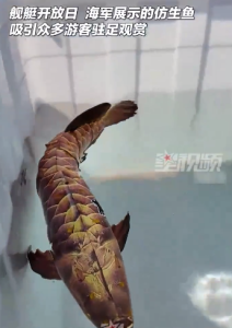 舰艇开放活动现场的仿生鱼太逼真 吸引众多游客驻足观赏