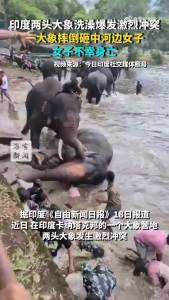 印度大象打斗致女游客身亡 河边悲剧引发关注