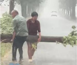 夫妇暴雨中徒手移开折断大树 凡人善举温暖人心