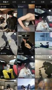 男子冒充警察被拘15日 虚构身份博关注