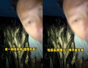 发反科学内容为何会有200万粉丝 无知与流量的荒谬结合