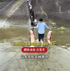 水库开闸泄洪鱼群被冲进缓冲池 上百人通宵捕捞大鱼
