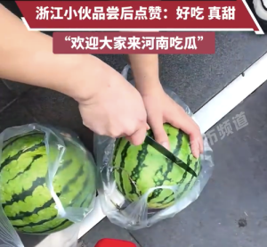 商场买下10吨西瓜免费送市民 浙江小伙被河南西瓜甜成野生代言