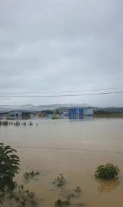 广西洪水现状 多地受灾严重