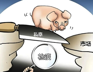 私宰生猪销售270万元！翁源一男子获刑五年