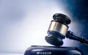 女子P图造伪证打官司被罚1万元 伪造证据受惩