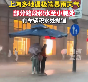 上海多地突遭极端暴雨 开车如开船