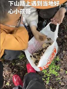 情侣采10斤菌子被本地小孩哥扔8斤 AI不如本地娃