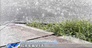 白天晴热 夜间骤雨 今夏北方夜雨格外多 主汛期防汛压力大