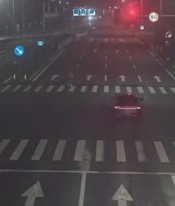 女子轻信临牌是狂欢期连闯5个红灯 蚂蚁爬进电脑显示屏“筑巢” 误信谣言付出代价