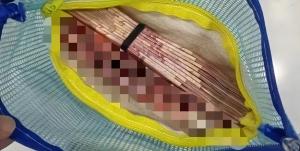 女生公厕发现文件袋直接报警 拾金不昧获赞