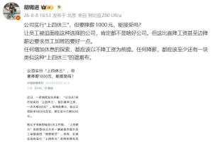胡锡进评“上四休三降薪1000” 增加休息不应降薪