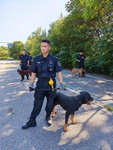 警校大三开学先挑小狗搭子 人犬默契初培养