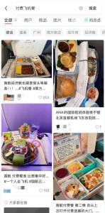 免费飞机餐是否取消？多家航司回应 付费餐食引发热议
