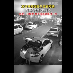 女子夜晚开敞篷偷走商家花盆 离谱行为引热议
