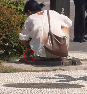 大雁塔女子投放的可疑物样本已送检 警方介入调查原因