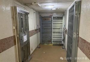 两兄弟家中身亡1人尸体腐烂 相依为命悲剧收场