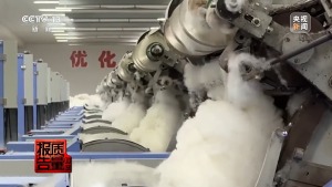 ("绵羊绒"竟一根羊绒都没有 概念混淆误导消费者)