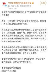 赛力斯距离富裕还有多远 独立行走的挑战