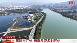 黄河“鸳鸯锅”出圈 碧水丹霞引客来