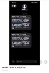 航司回应鸟击延误无赔偿 旅客被迫过夜机场
