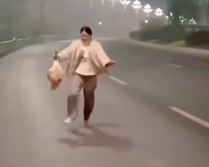 意外掉落的大鹅被女子捡到，开启了它传奇的一生