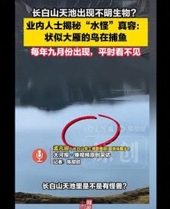 长白山天池水怪真容揭秘 实为大雁捕鱼
