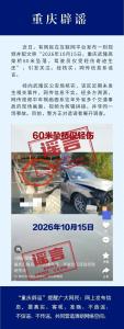 “重庆一车从60米高架桥坠落”不实 官方辟谣并调查造谣者