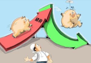 猪价下跌拦不住！月末“枯木逢春”？